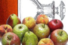 关于法国历史悠久的苹果白兰地卡尔瓦多斯你需要知道的一切