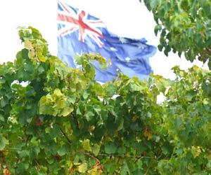 澳大利亚，一个标志性的“新世界”葡萄酒国家