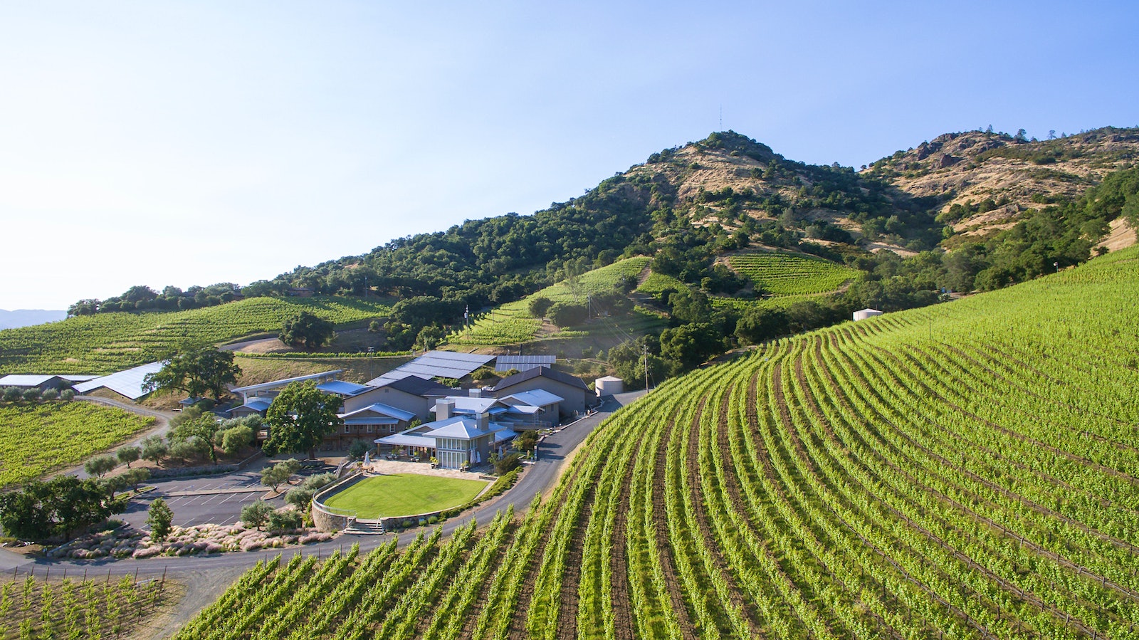 Shafer 酒厂及其山坡 Stags Leap 区葡萄园的风景概览