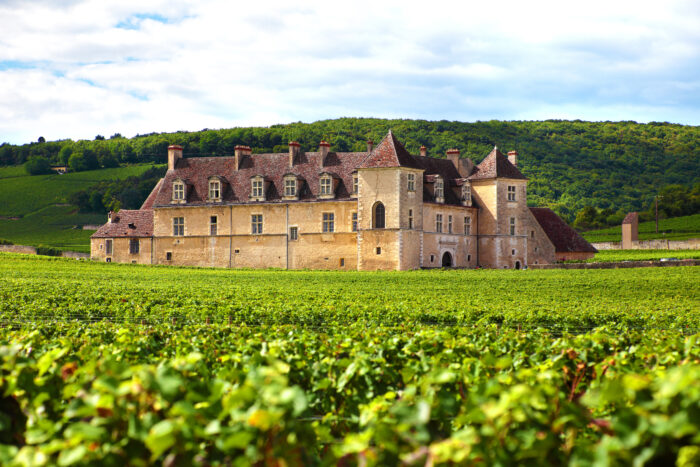 Chateau du clos de vougeot 勃艮第酒厂 法国