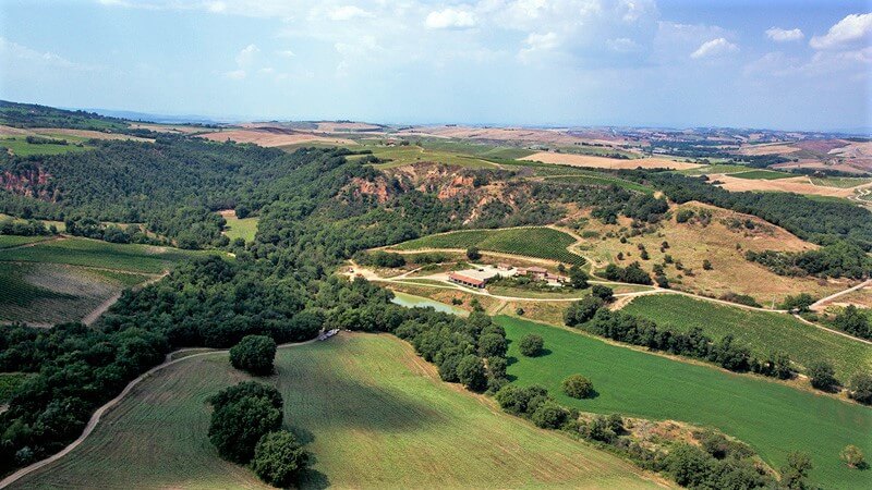 Renieri tenuta，或酒庄庄园