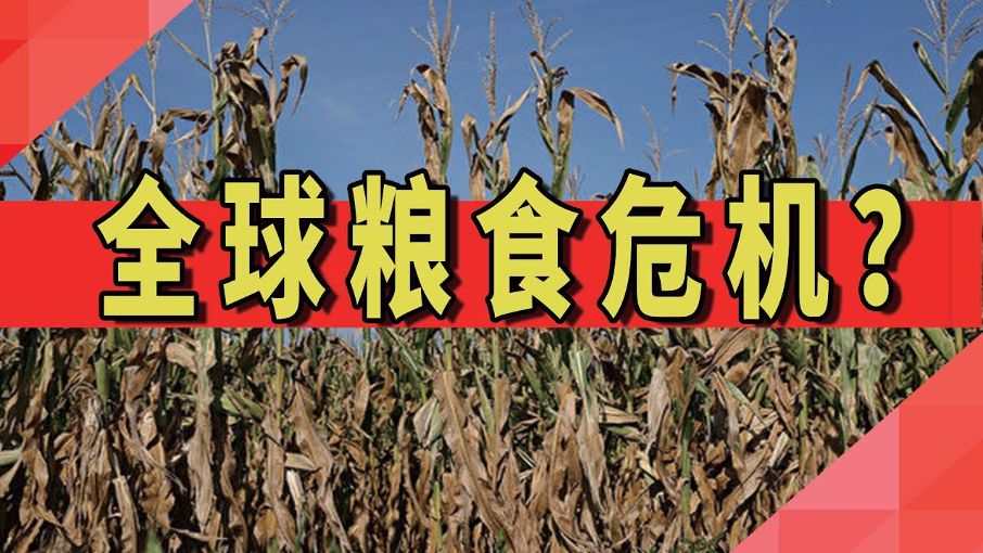 千亿市场重构！领亿来借反倾销“东风”书写中国白兰地万亿蓝图！